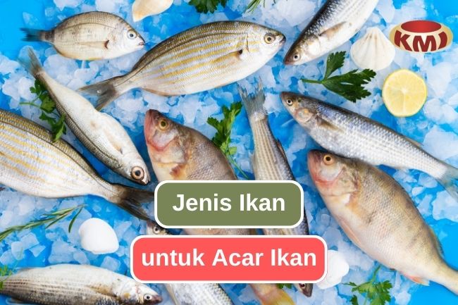 Ikan yang Tepat untuk Membuat Acar Ikan